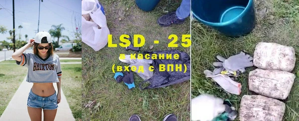 гидра Володарск