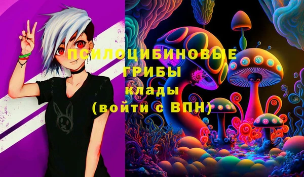 гидра Володарск