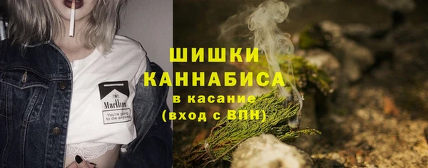 гидра Вяземский