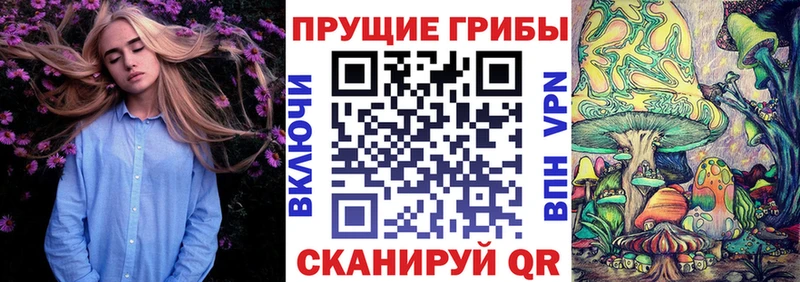 Псилоцибиновые грибы прущие грибы  Гусев 